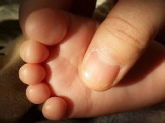 属猪  男宝宝起字  王姓 【河北省保定市人】