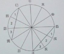 天干与地支的关系