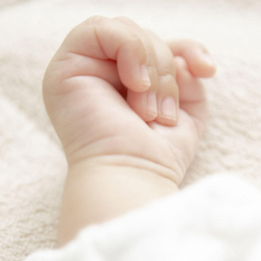 属狗 男宝宝起名（量身配置名字） 李姓【河南南阳市人】