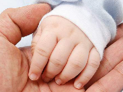 属猪 男宝宝量身配制名字 朱姓【福建省莆田市人】