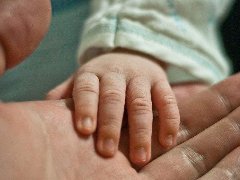 属猪 女宝宝量身配制名字 李姓【山东省济南市人】