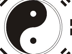 属猴 女宝宝起名字 杨姓【天津市人】